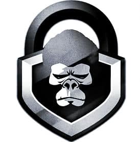 lock-monkeys-logo.jpg