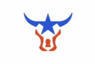 Bull Star Logo.png